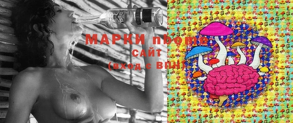 2c-b Алзамай