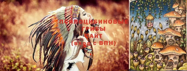 2c-b Алзамай