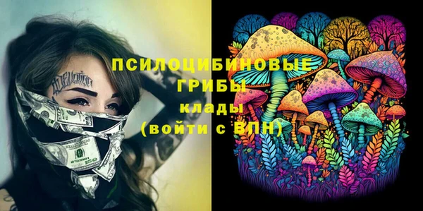 2c-b Алзамай