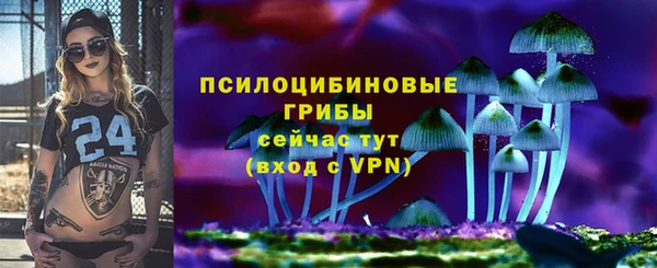 2c-b Алзамай
