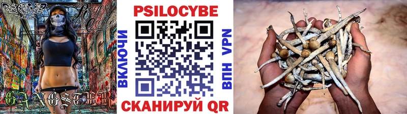 Галлюциногенные грибы Psilocybine cubensis  Данков 